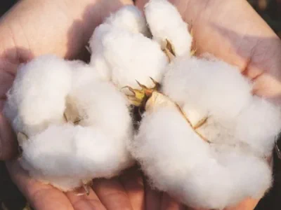 Materiali ecologici e sostenibilit&agrave; nella produzione artigianale di Idea.lab, riduzione sprechi e inchiostri a basso impatto.